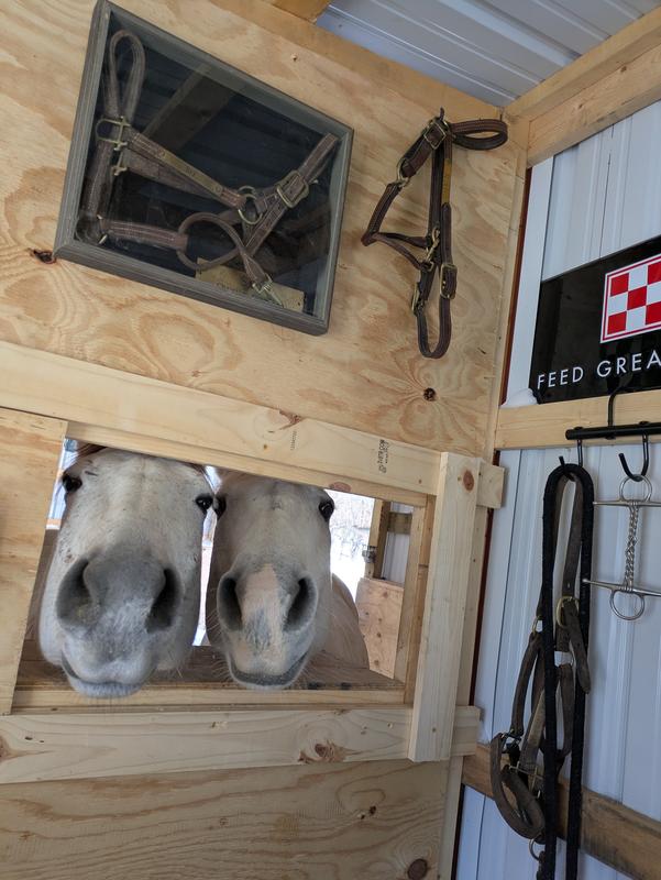 Waiting patiently for RepleniMash