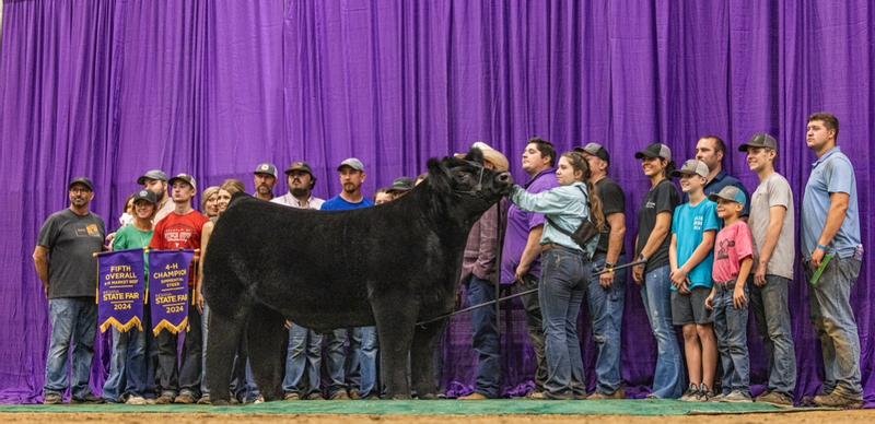 5th overall steer at the Indiana State Fair