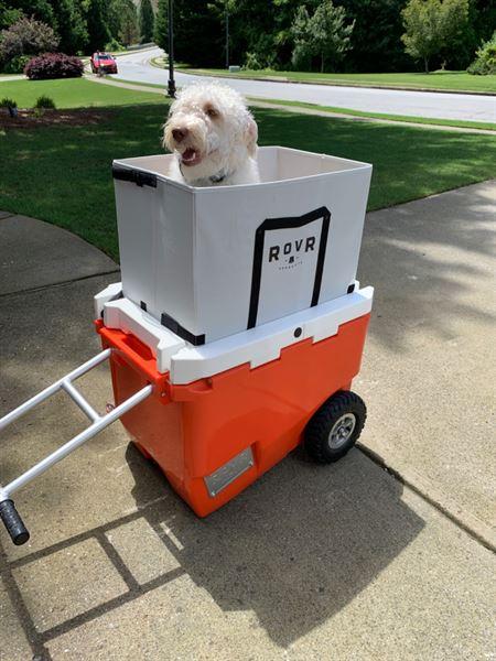 User uploaded product image