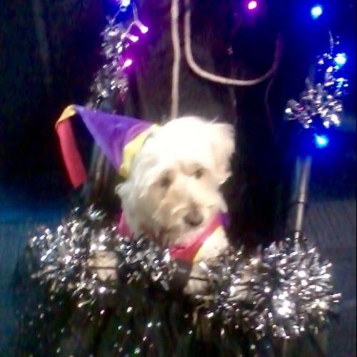 Did someone call for a princess?