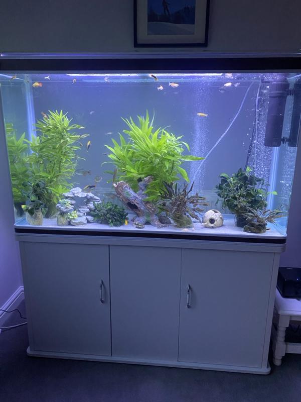Monster shop fish tank deals