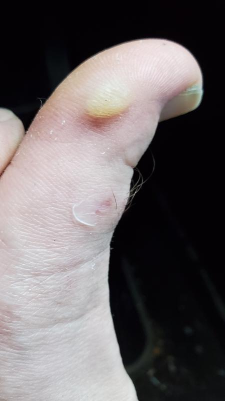 Photo submitted with review of product