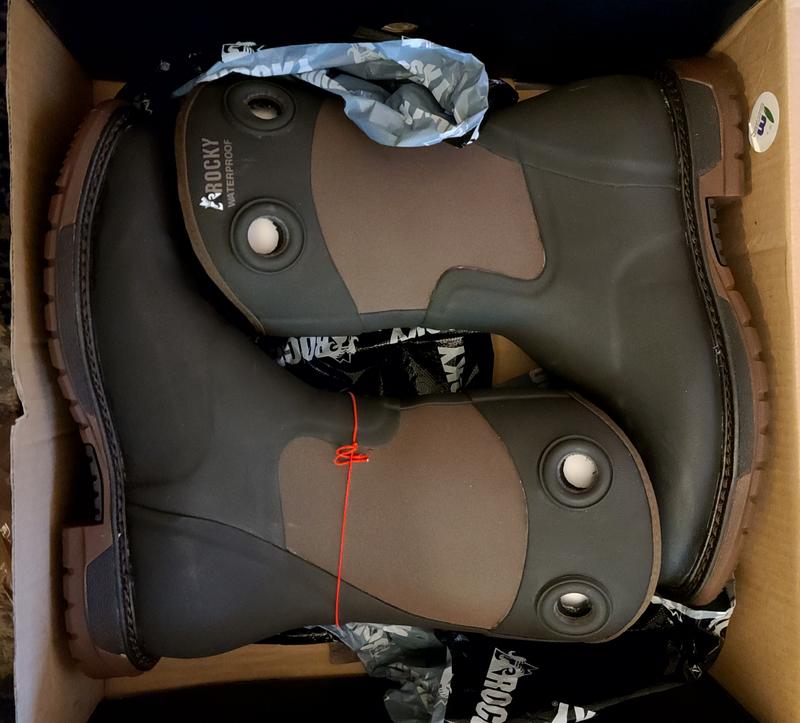 Definitely not horns