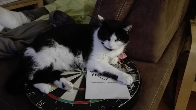 Kater Katzen Adiletten Catsan Hygiene Plus SMART PACK Online Kaufen