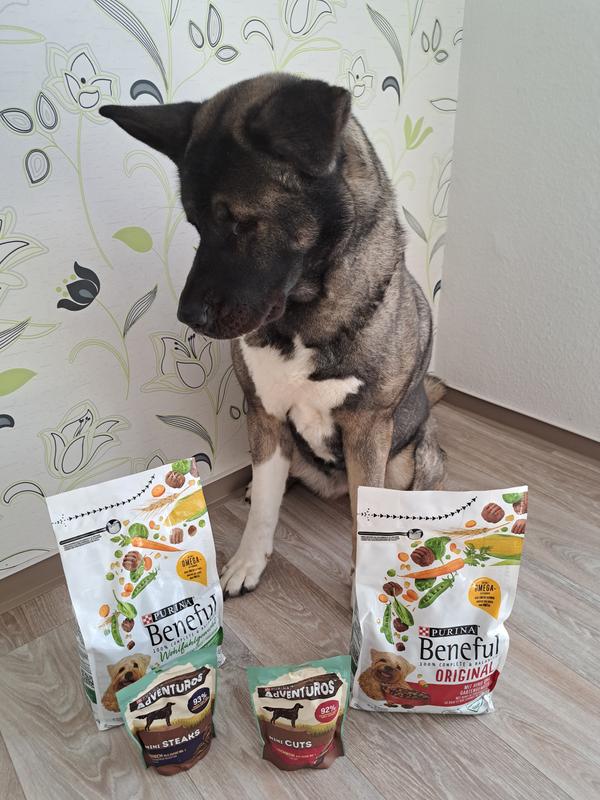 Beneful Original mit Rind & Gartengemse online kaufen | rossmann.de