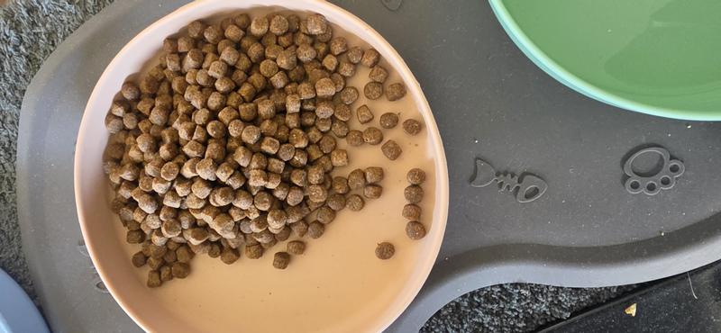 Winston Hund Nature Trockenfutter fr kleine Hunde Geflgel und Hirse  online kaufen | rossmann.de