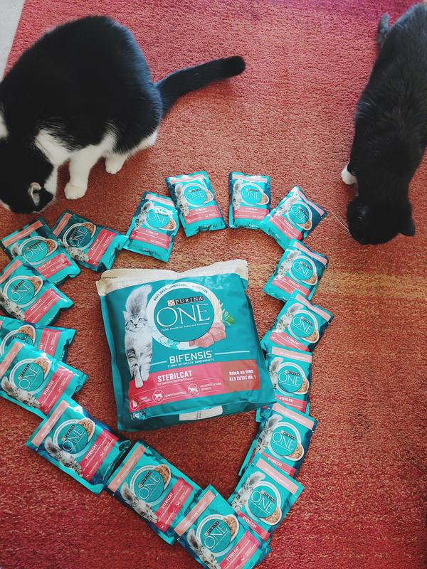 Purina ONE STERILCAT Rind Trockenfutter online kaufen | rossmann.de
