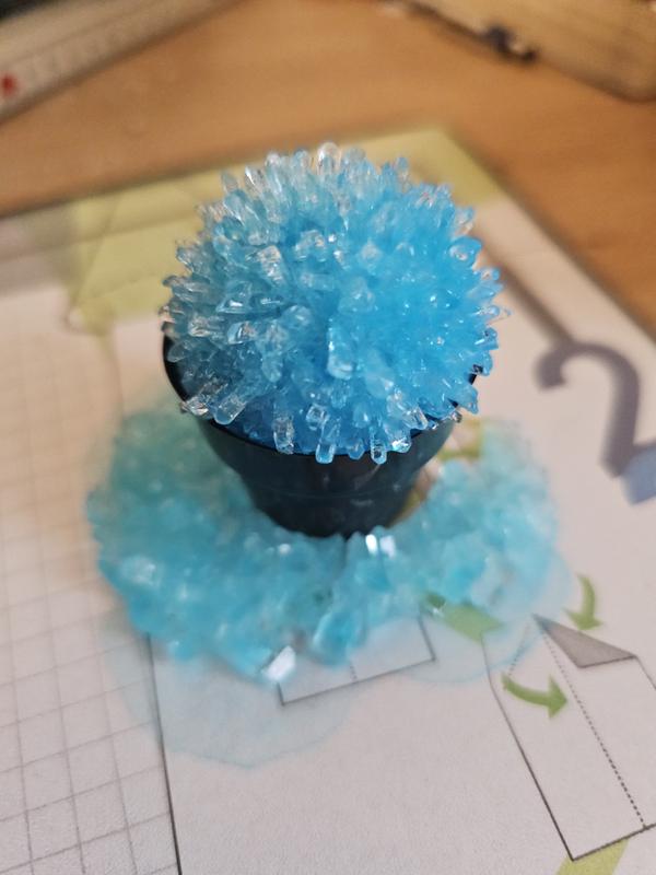 Sabine Trend Crystal Cactus Growing Kit | rossmann.de