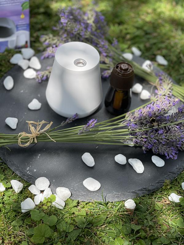 Air Wick Fühl dich wohl Aroma-Öl Diffuser Entspannender Lavendel  Starter-Set online kaufen