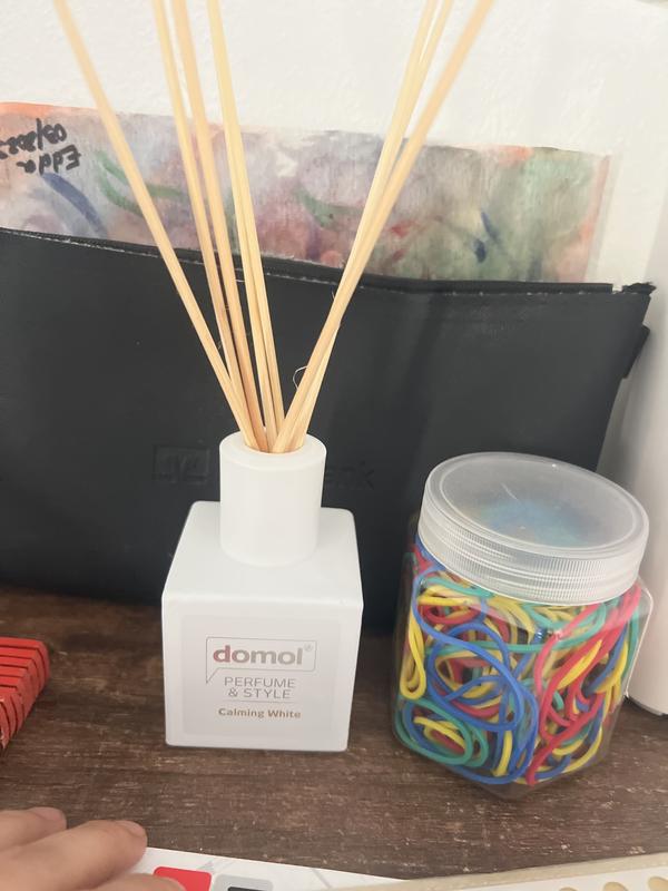 Dirk Rossmann Rossmann Domol Raumduft Domol Perfume Style Raumduft