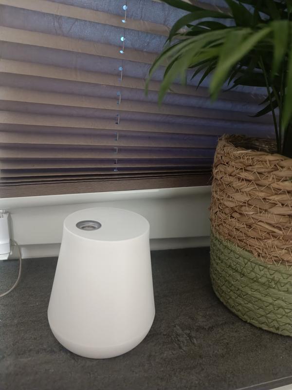 Air Wick Aroma-Öl Flakon Bergamotte Lavendel online kaufen