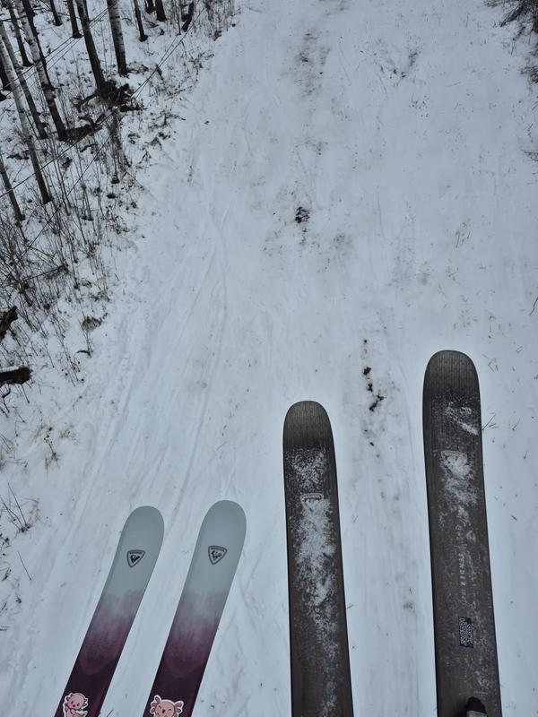 Rossignol Men's FREERIDE Skis SENDER 104 TI OPEN | Skis Men