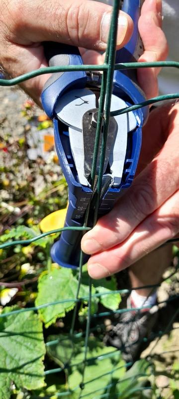 Ouvrir la fenêtre modale de l'avis 2 sur 6