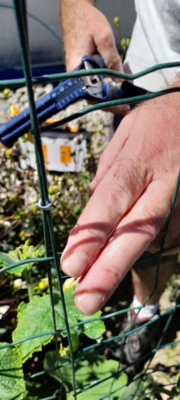 Ouvrir la fenêtre modale de l'avis 4 sur 6