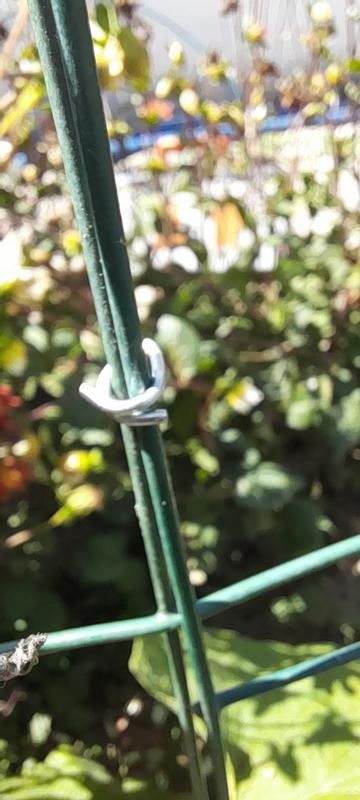 Ouvrir la fenêtre modale de l'avis 5 sur 6