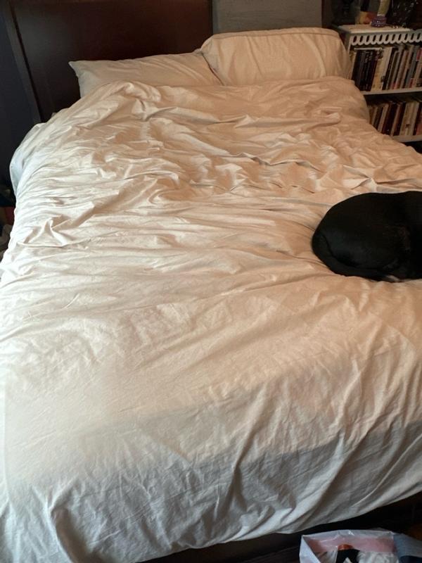 Review Thumbnail Image 0 309055927