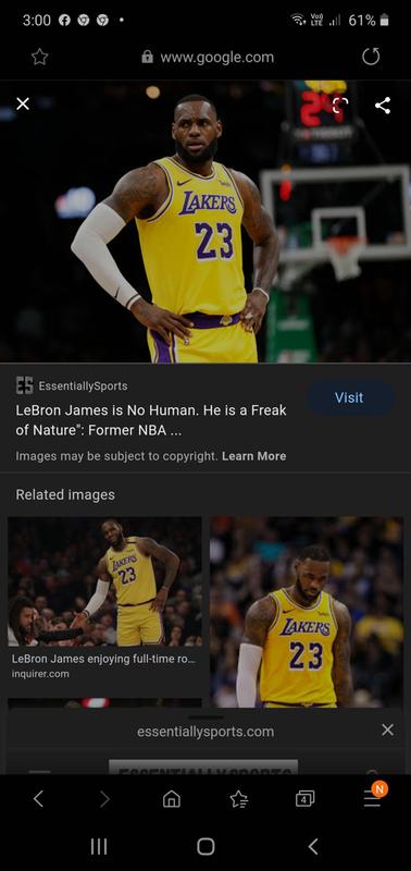rebel sport lebron james