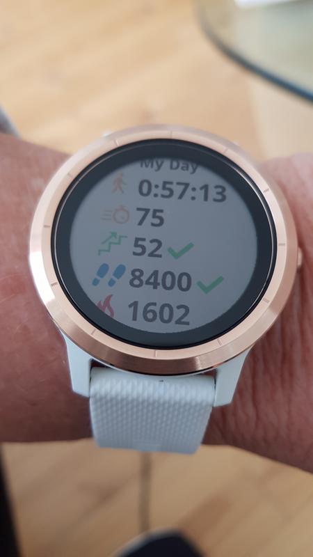 rebel sport vivoactive 3