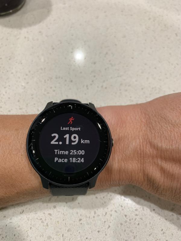 garmin vivoactive 3 rebel sport