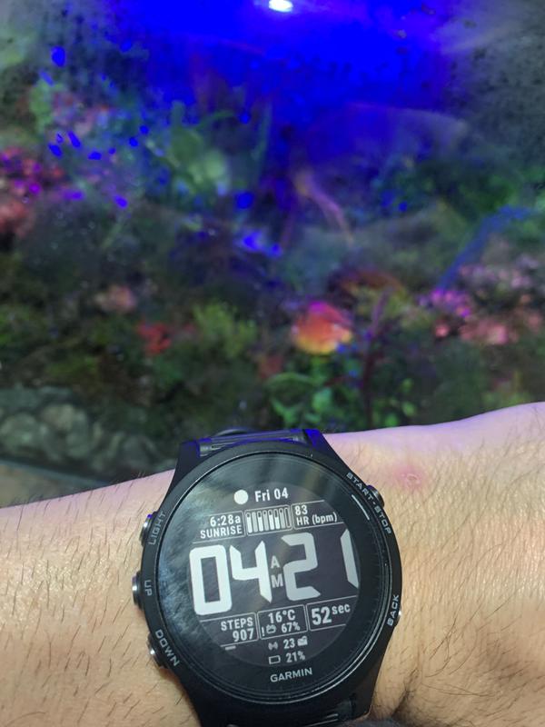 garmin forerunner 935 rebel sport
