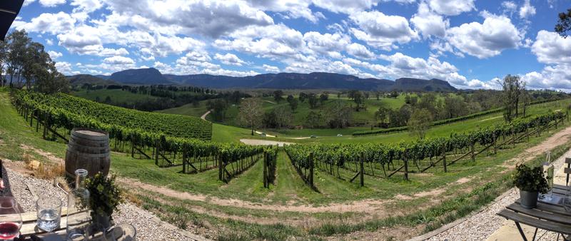 Wine Tasting Cheese For At Dryridge Estate NSW RedBalloon
