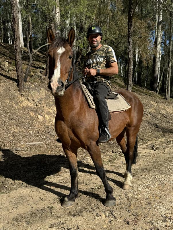 Horse riding and camping hot sale