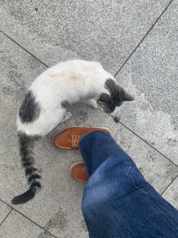 Review Thumbnail Image 1 270744132