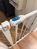 Customer review photo 8