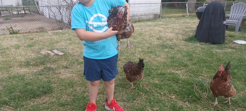 User uploaded product image