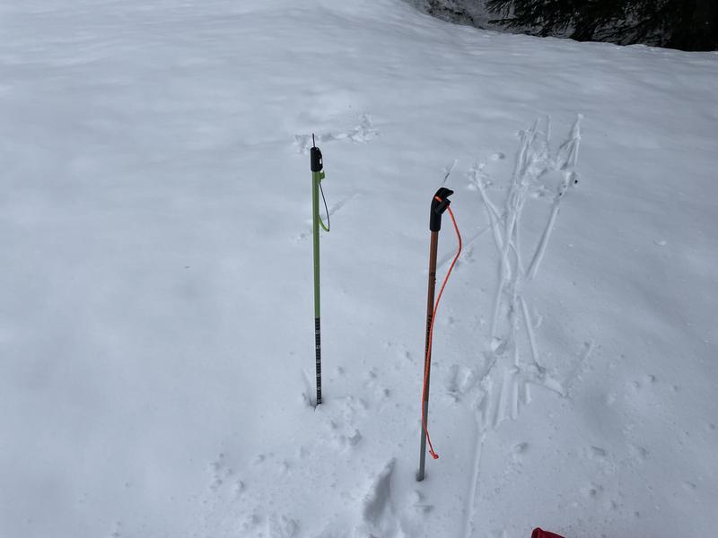 Black Diamond Quickdraw Pro Probe 280 | REI Co-op