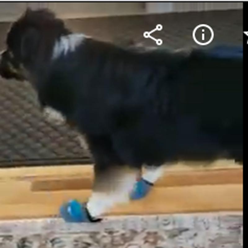 User uploaded product image