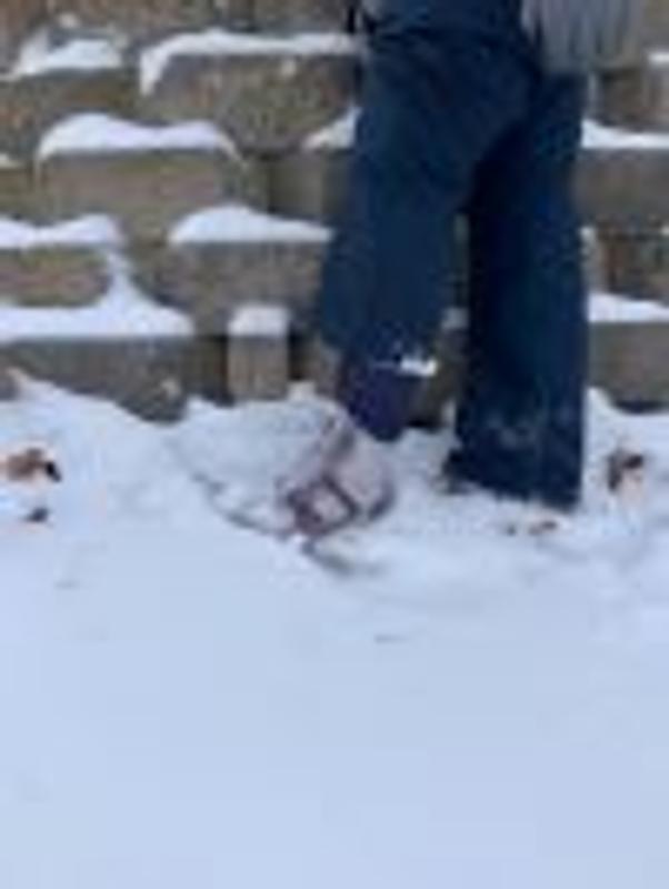 User uploaded product image