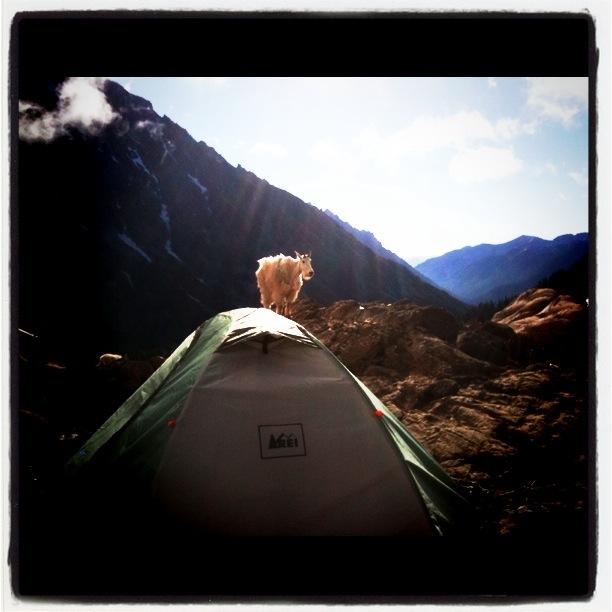 User uploaded product image