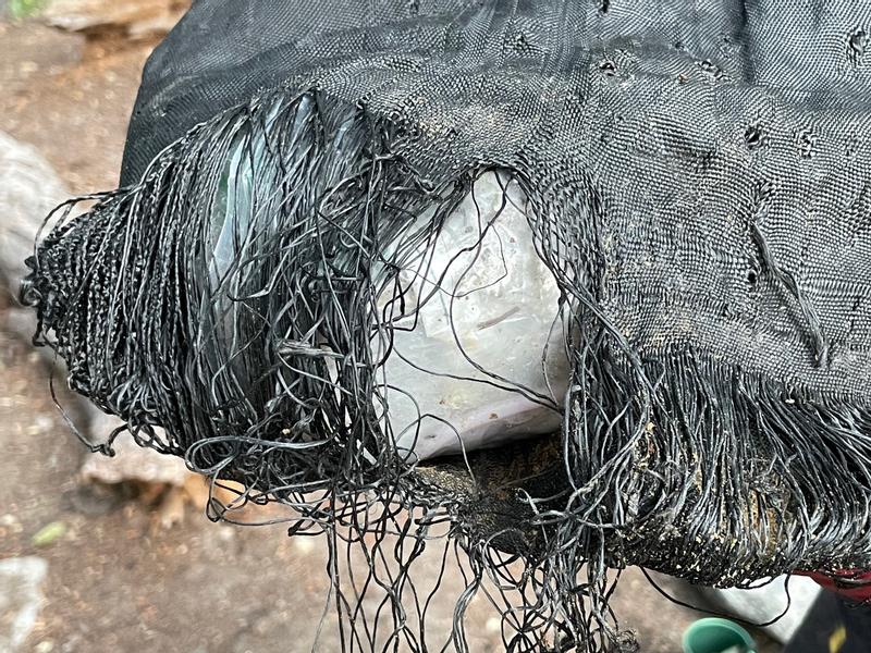 User uploaded product image