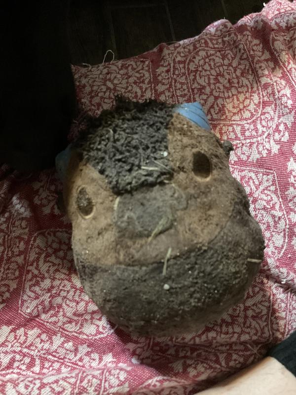 User uploaded product image