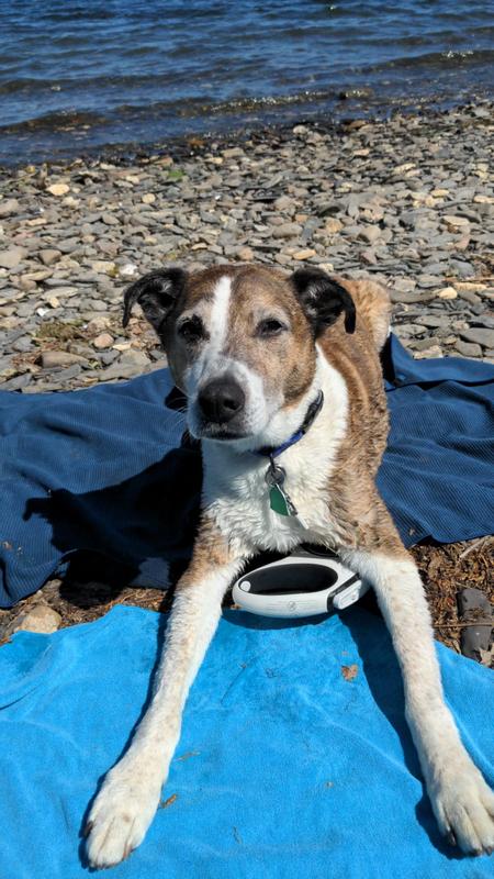 User uploaded product image