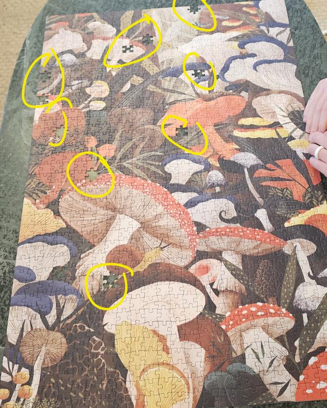 User uploaded product image