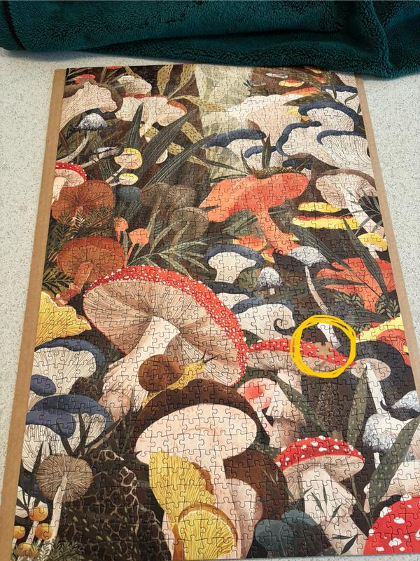 User uploaded product image