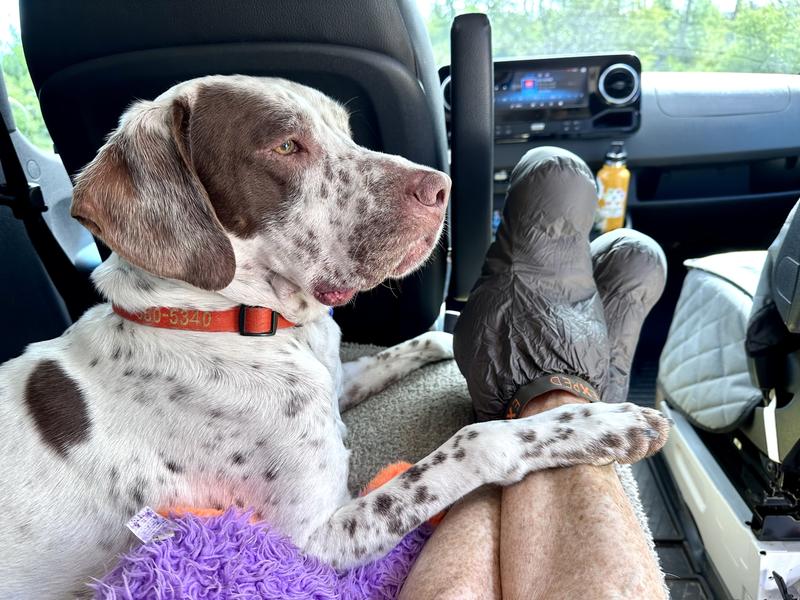 User uploaded product image