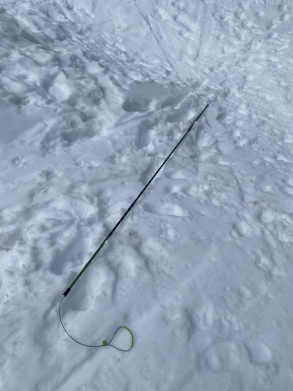 Black Diamond Quickdraw Pro Probe 280 | REI Co-op
