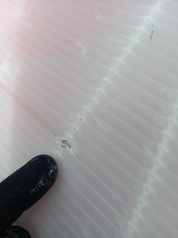 User uploaded product image