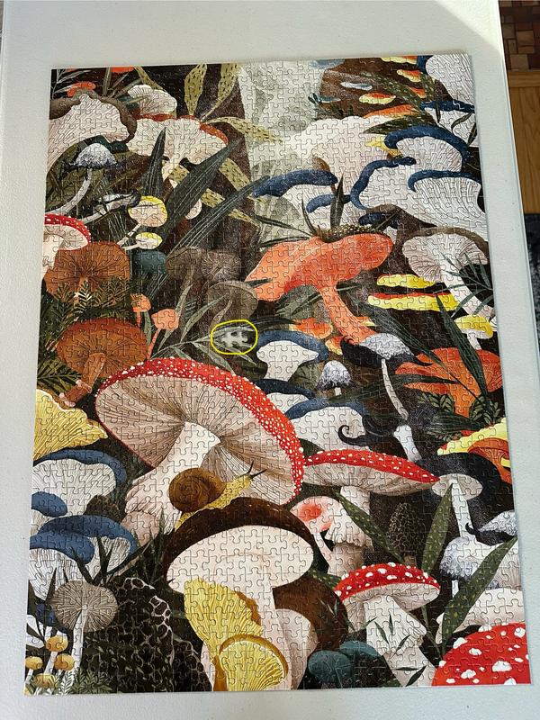 User uploaded product image