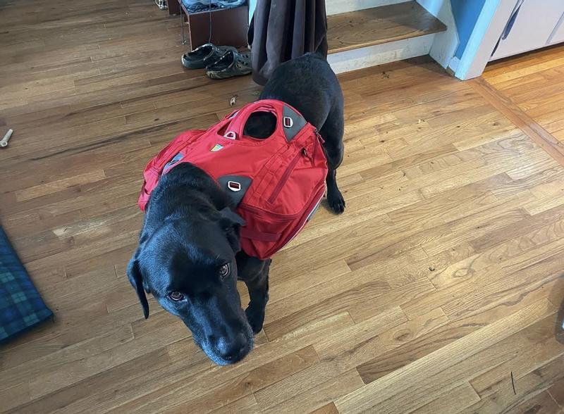 User uploaded product image