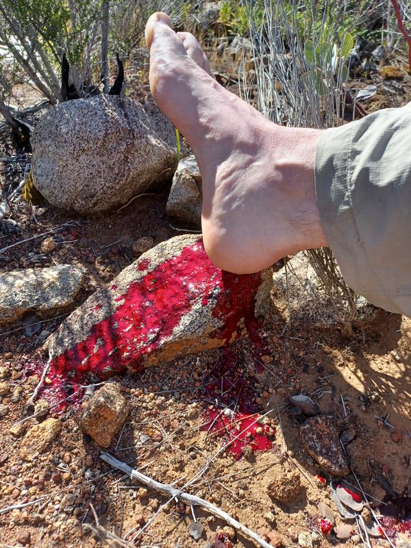 User uploaded product image