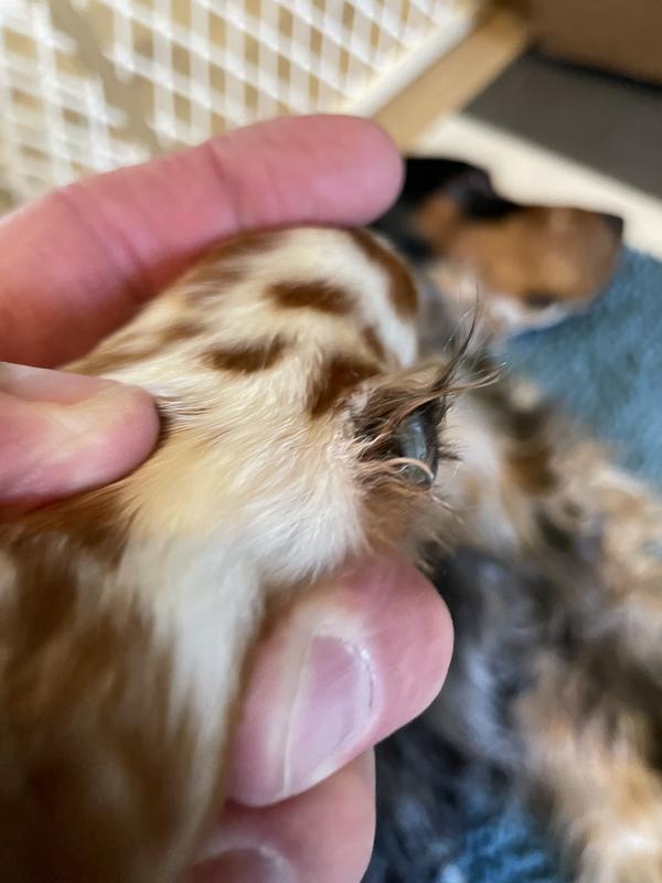 User uploaded product image