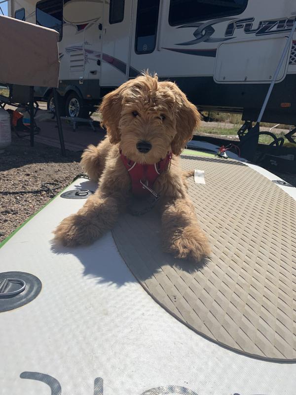 User uploaded product image