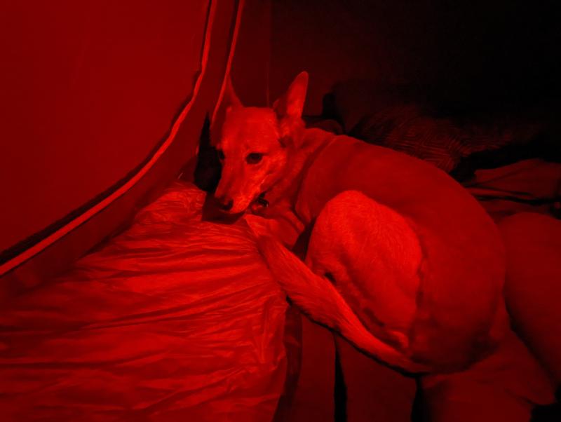 User uploaded product image