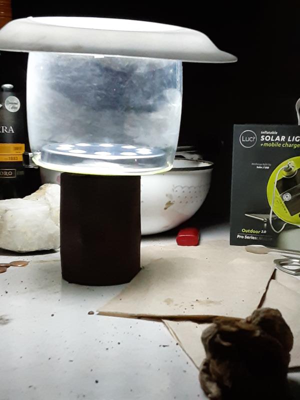 User uploaded product image