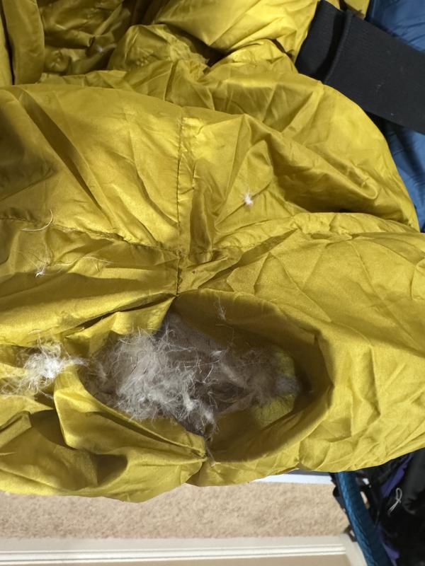 User uploaded product image