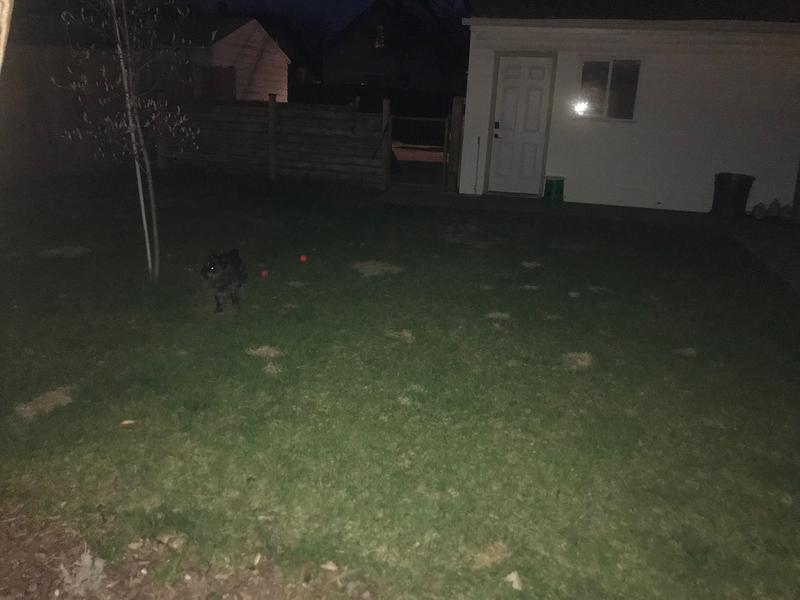 User uploaded product image